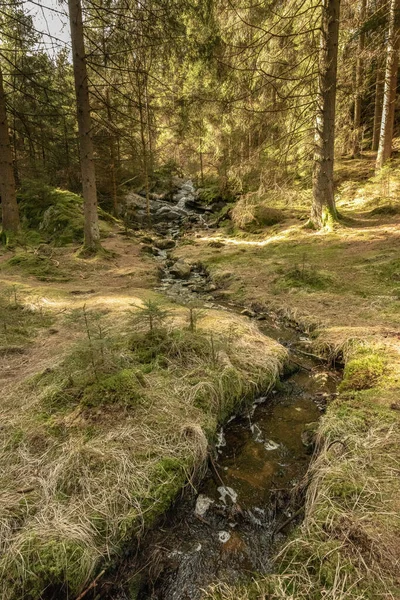 Kis Vízesés Nyugodt Patak Erdőben — Stock Fotó