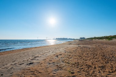 Falkenberg, İsveç - 29 Mayıs 2021: Baharda kumlu bir plaja bakıyorum.