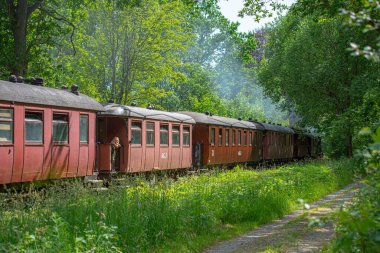 Alingsas, İsveç - 29 Haziran 2019: Anten ve Grafsnas arasında müze treni.