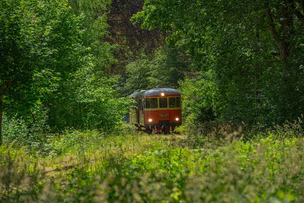 瑞典阿林萨斯 2019年6月29日 位于安腾和格拉夫纳斯之间的博物馆火车穿过风景秀丽的风景 — 图库照片
