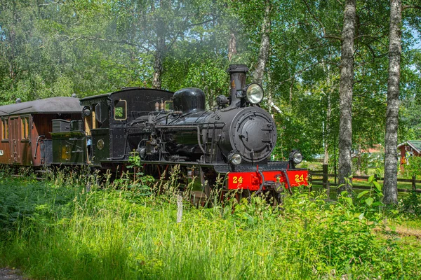 Alingsas Sweden June 2019 Museum Train Anten Grafsnas Passing Picturesque — Stockfoto