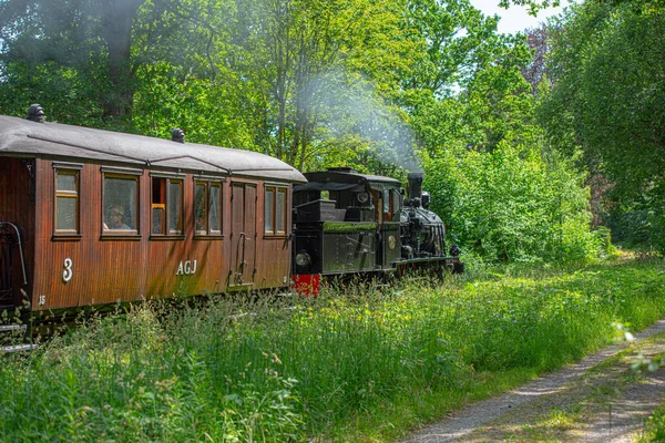 瑞典阿林萨斯 2019年6月29日 位于安腾和格拉夫纳斯之间的博物馆列车通过风景秀丽的风景 — 图库照片