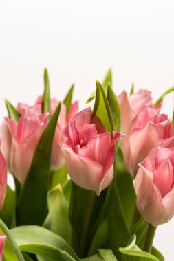 Bir buket pembe lalenin detayları..