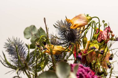 renkli kuru çiçekler buket.