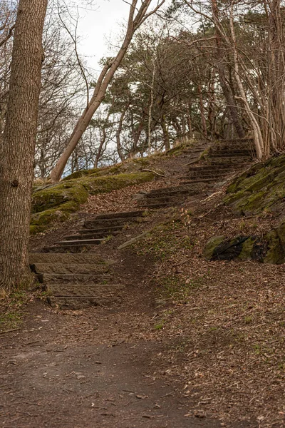 Kamenné Schody Stezce Parku — Stock fotografie