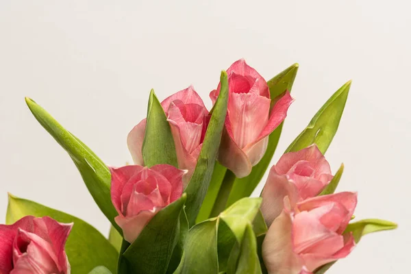 Details Bouquet Pink Tulips — Stock Photo, Image
