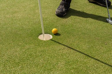 Pin, hole and ball of a minigolf course.