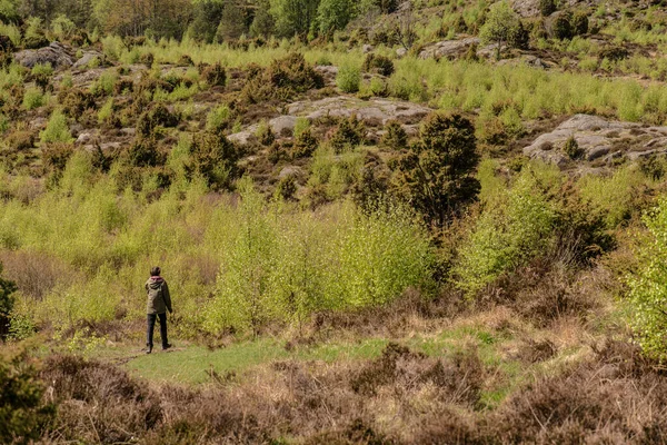 Person walking on a path through a forest clearing.