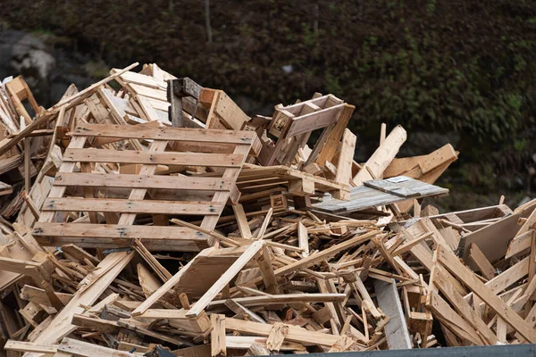 埋め立て地で木製パレットを破壊 — ストック写真
