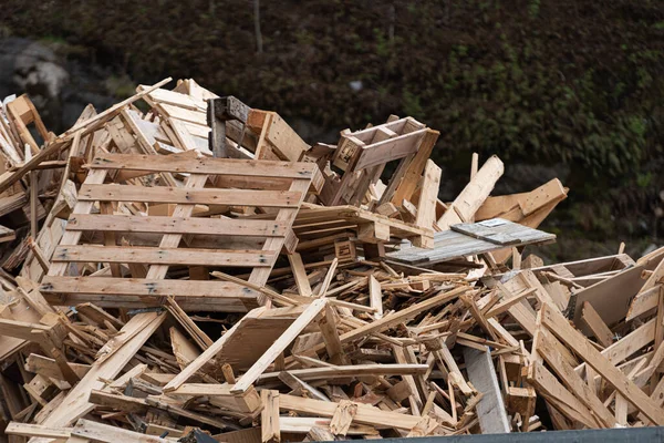 Pallet Legno Distrutti Una Discarica — Foto Stock