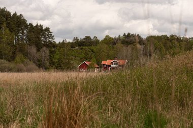 Ormanın yanındaki tarlada küçük bir çiftlik..