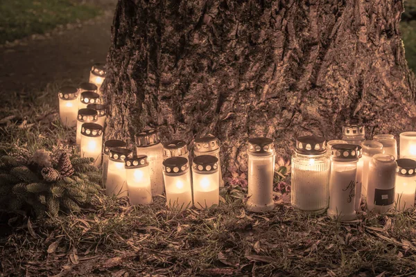 Row Grave Candles Tree Trunk — 图库照片