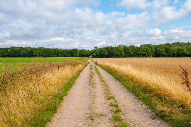 Kids walking on a gravel road with grass fields on either side.