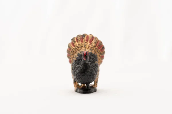 Plastic Toy Turkey White Background — Zdjęcie stockowe