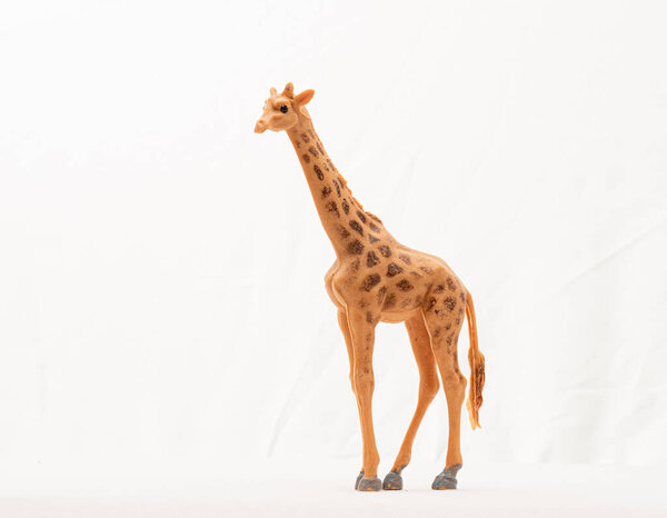 Plastic toy giraffe on white background..