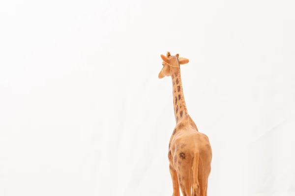 Plastic Toy Giraffe White Background — Fotografia de Stock