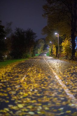 Two lane bike path almost covered in leaves at night.