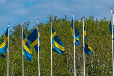 Bayrak direğinde dalgalanan birkaç İsveç bayrağı.