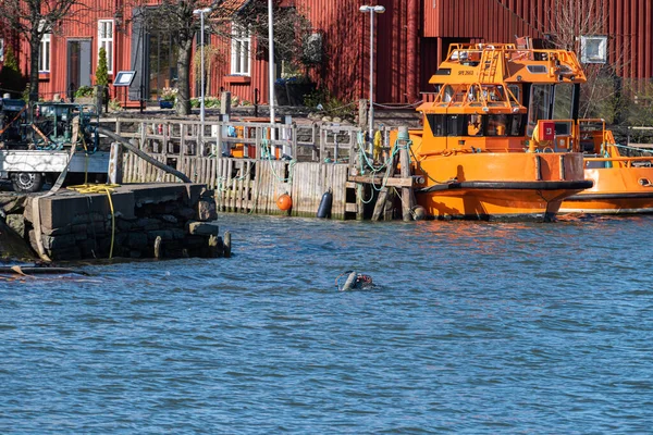 Technical diver in the water at a dock.