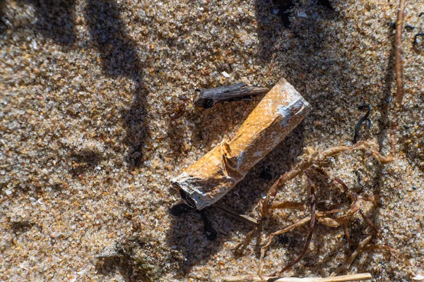 Old Cigarette Butt Thrown Away Sand Beach — Stok fotoğraf