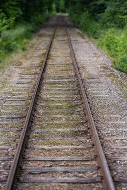 Ormanda düz eski bir demiryolu hattına bakıyorum..