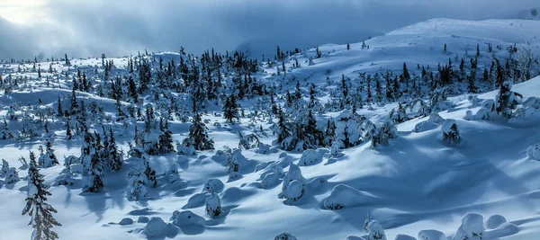 Winter landscape — Stock Photo, Image