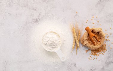 Buğday kulaklı ev yapımı pizza hamuru, buğday unu ve beyaz beton arka planda zeytinyağı. en üstteki görünüm ve kopyala.