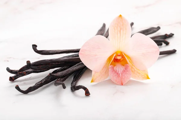Suszone Paluszki Waniliowe Kwiat Storczyka Ustawione Marmurowym Tle — Zdjęcie stockowe
