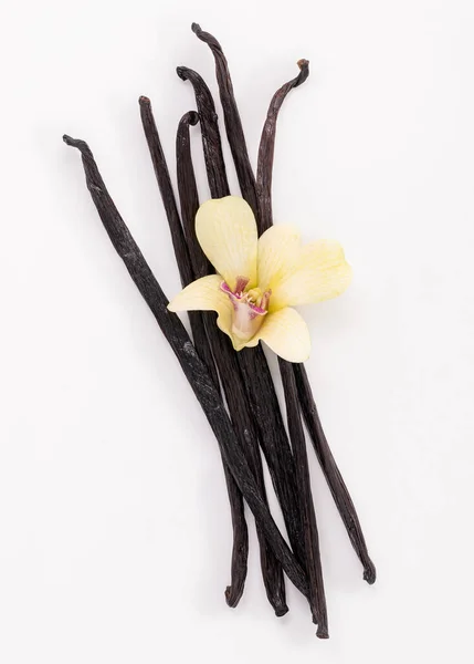 Dried Vanilla Sticks Flowers Isolated White Backgrounds — Stock Photo, Image