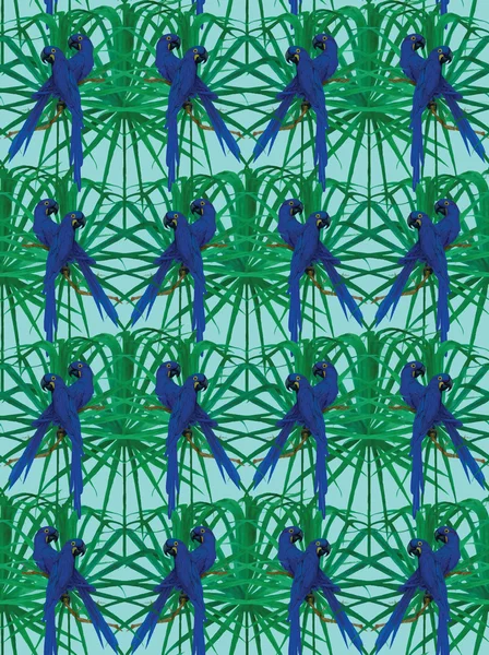 Seamless pattern with hyainth macaws. Hand drawn vector. — Stock Vector