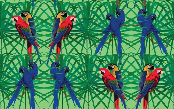 Padrão sem costura com papagaios de arara sentados em folhas. Vetor desenhado à mão . —  Vetores de Stock