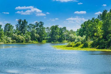 Hırvatistan 'ın başkenti Lonjsko polje' deki Sava Nehri dağılımı, kırsal alandaki güzel manzara