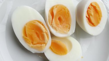 Yumurtalar ikiye böldüğü