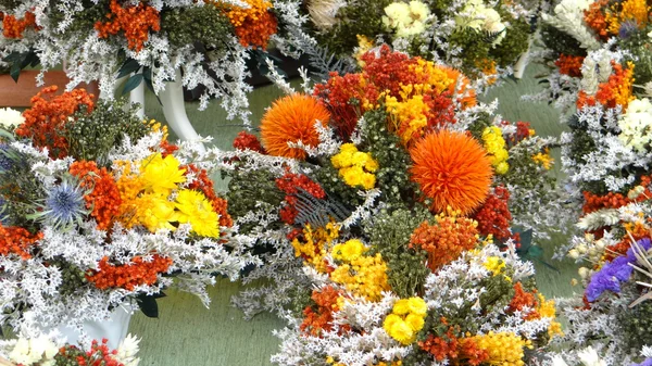 Autumn flowers — Stock Photo, Image