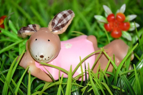 小兔子躺在草地上 — 图库照片