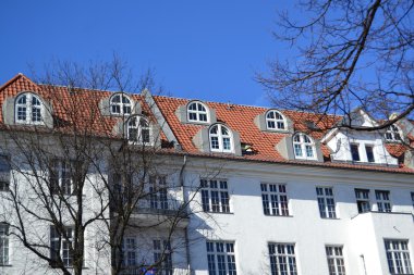 Çinili çatılı evi