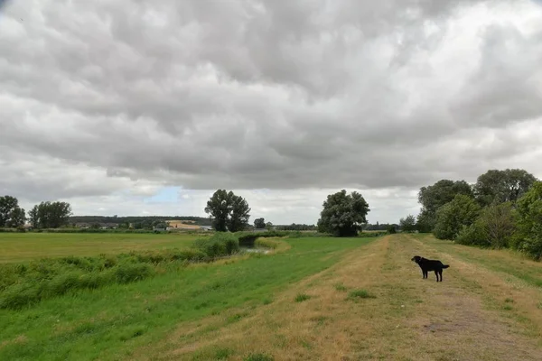 Rural Landscape Fields Canal Water Them — Stockfoto