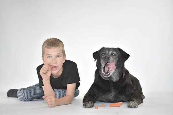 a boy and a dog lie and eat a carrot