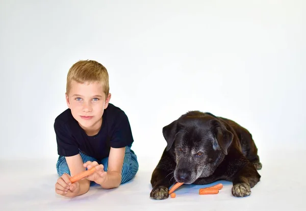 a boy and a dog lie and eat a carrot