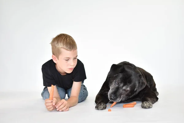 a boy and a dog lie and eat a carrot