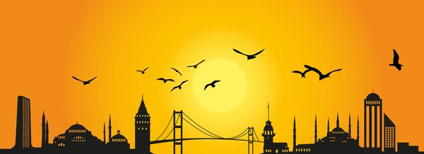 Istanbul silhouet — Stockvector