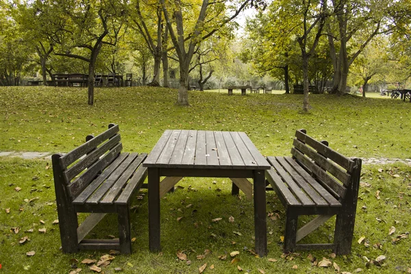 Table vide au parc — Photo