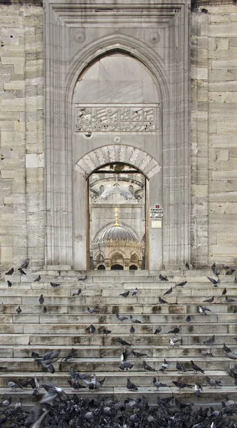 Главные ворота мечети Йени Ками — стоковое фото