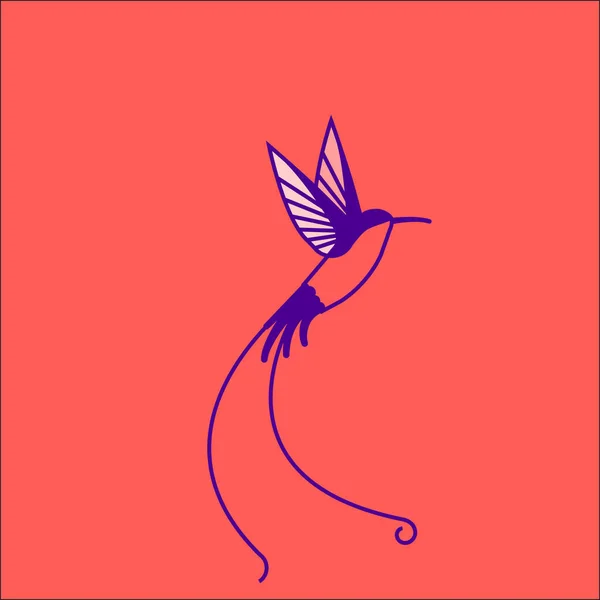 Hummingbird Isolated Pink Background Vector Illustration — Stock Vector