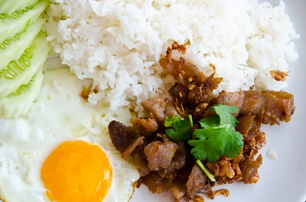 Fried pork and rice — Stock Photo, Image