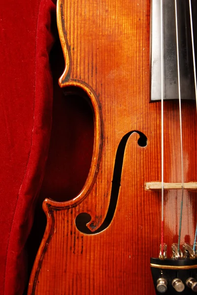 Violin on Red Royalty Free Stock Images