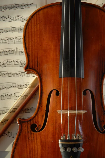 Violin och rosett — Stockfoto