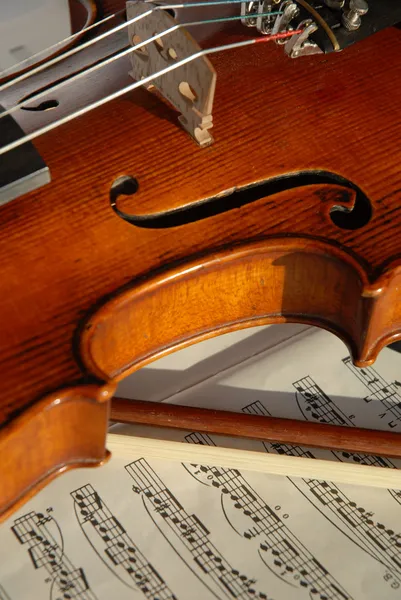 Violino e arco — Foto Stock