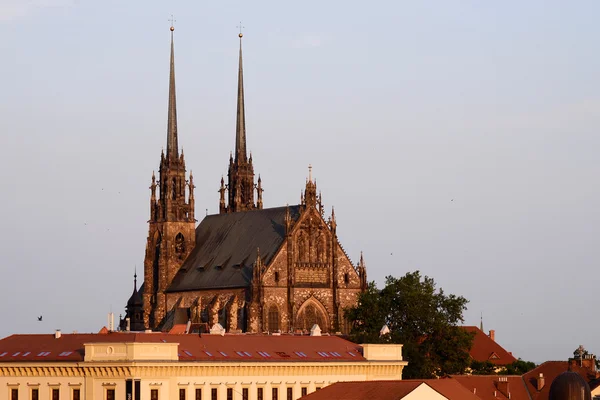 Petrov - brno katedral