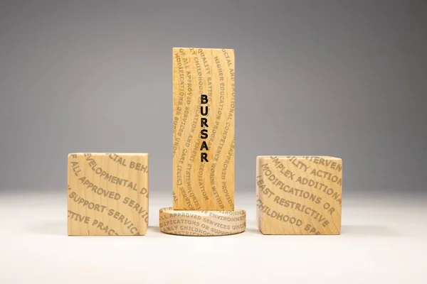 Bursar Written Wooden Surface Education Concept — Stock Fotó